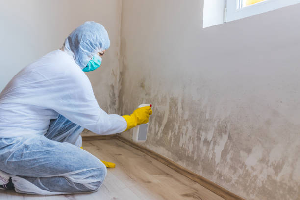 Crawl Space Mold Remediation treatment of floor joists in Silverdale