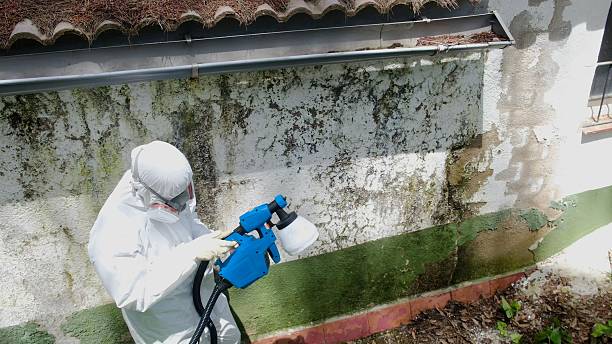 Mold Remediation service in Silverdale, Silverdale, WA